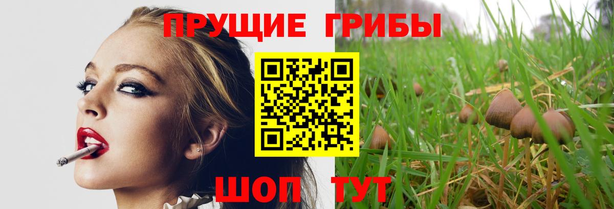 Галлюциногенные грибы мицелий  Вход с VPN  Артёмовский 